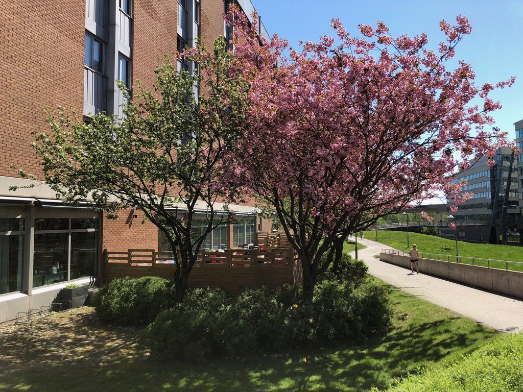 Scandic Kista Estocolmo Exterior foto